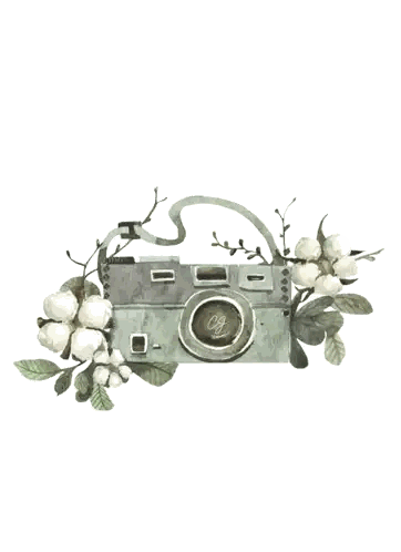Watercolor Camera with CG Letter