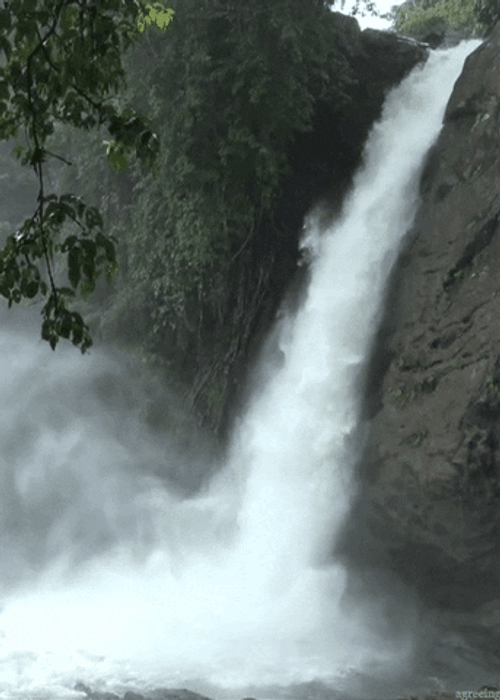 Waterfall Beautiful Nature Splash GIF 