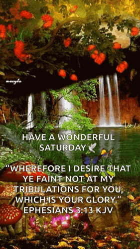 Waterfall Have A Wonderful Saturday GIF