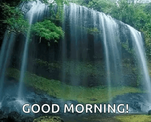 Waterfall in Forest Good Morning