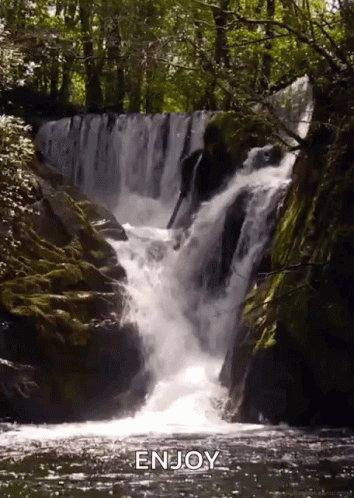 Waterfall in Forest Saying Enjoy