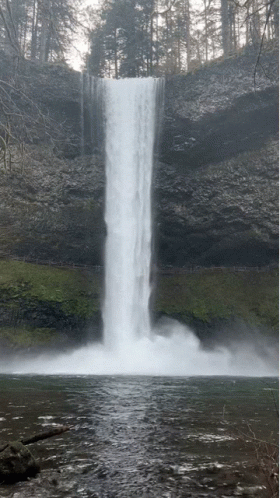 Waterfall In Forest GIF
