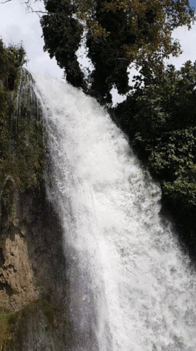 Waterfall In Forest With Trees GIF