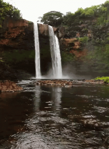 Waterfall in River With Trees