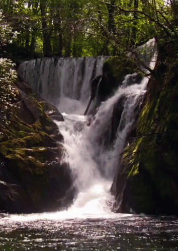 Waterfall Surrounded by Mossy Rocks and Trees
