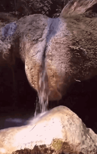 Waterfall Surrounded by Rocks and Trees