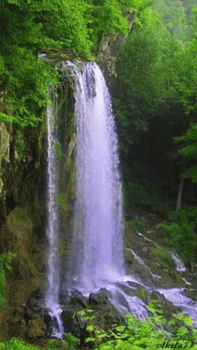 Waterfall Surrounded By Trees And Rocks By Akela13 GIF