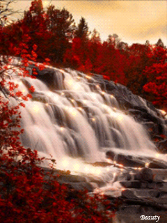 Waterfall With Red Leaves And Beauty GIF