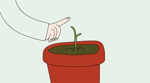Watering A Growing Plant GIF