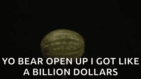 Watermelon Exploding Saying Yo Bear Open Up I Got Like A Billion Dollars GIF