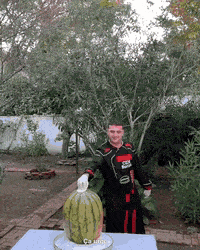 Watermelon Explosion Meme GIF