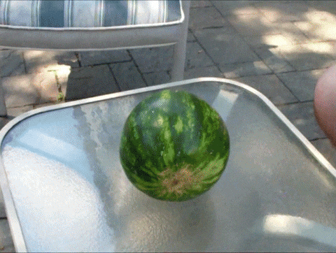 Watermelon Judo Chop GIF