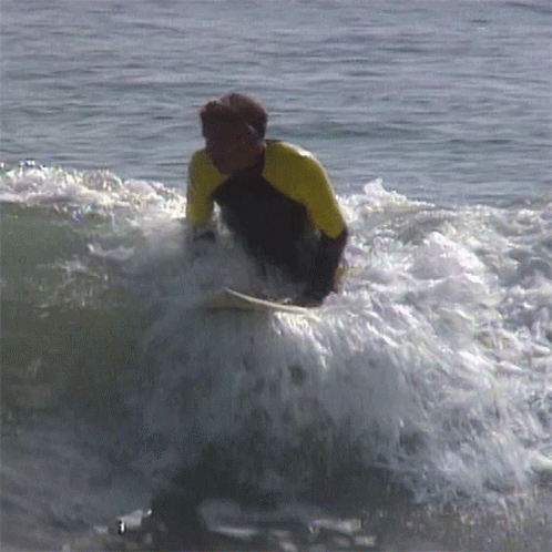 Wave Surfing Man Back Up GIF