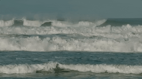 Ocean Waves Perfect For Surfing GIF
