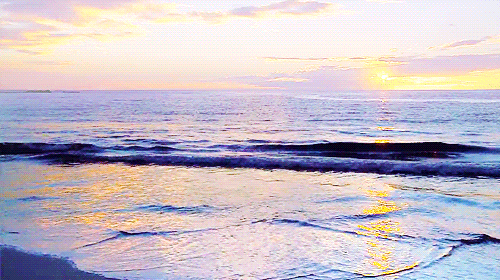 Beach Hawaii Waves Viewing GIF
