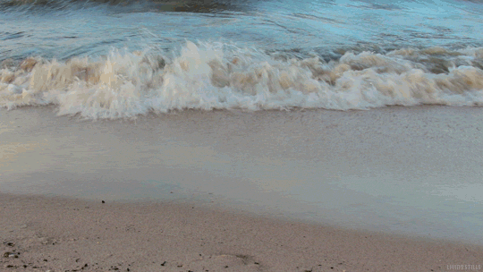 Normal Waves By The Sea GIF
