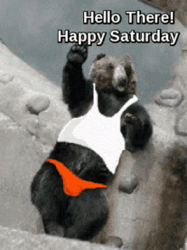 Waving Bear Weekend Meme GIF