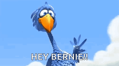 Waving Bird Hey Bernie GIF