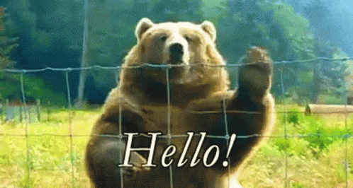 Waving Hello Bear On Cage GIF