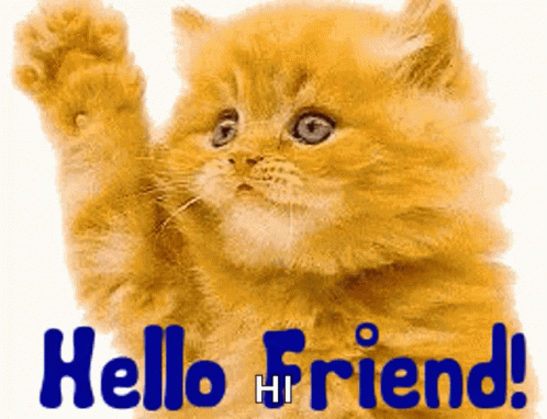 Waving Hello Friend Ginger Cat GIF