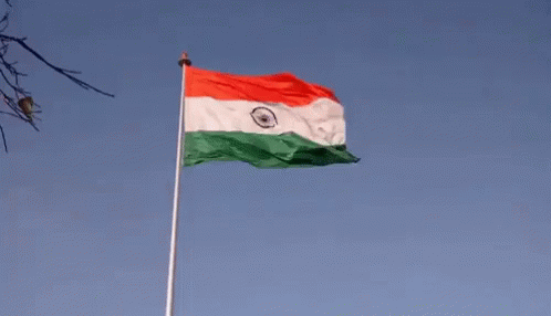 Waving Red White Green Flag GIF