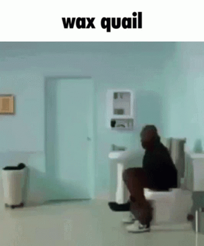 Wax Quail Explosive Diarrhea Meme GIF