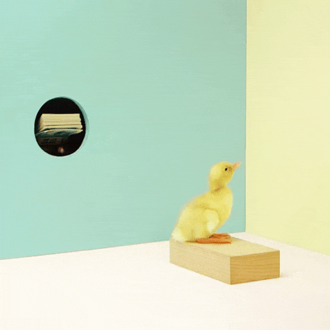 We Are Getting Paid For Salary You Guys GIF