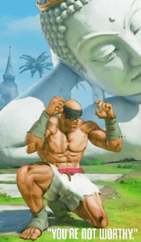 Sagat Saying We Are Not Worthy GIF