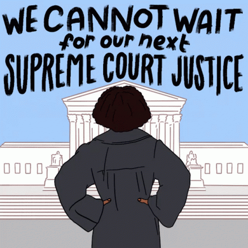We Cannot Wait Our Next Supreme Court Justice GIF