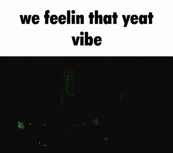 We Feeling The Yeat Vibe GIF