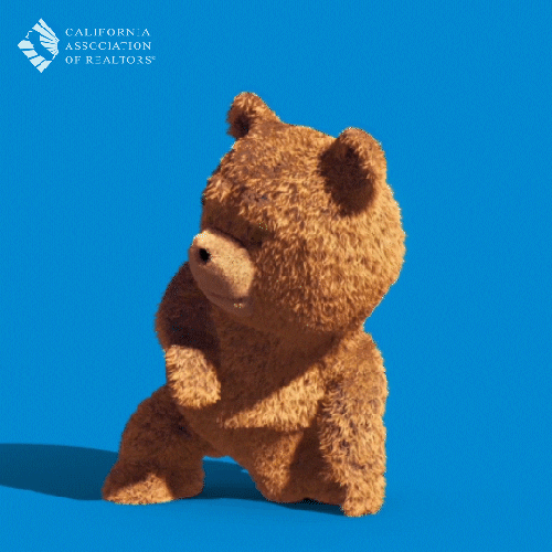 We Got This Bear Dancing GIF