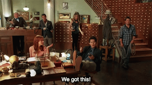 We Got This Librarians GIF