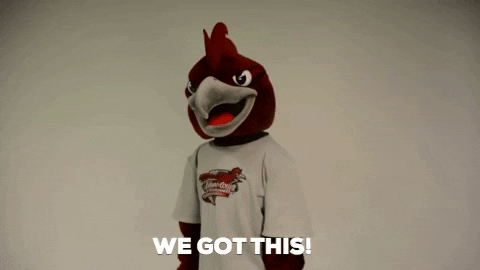 We Got This Ramapo College GIF
