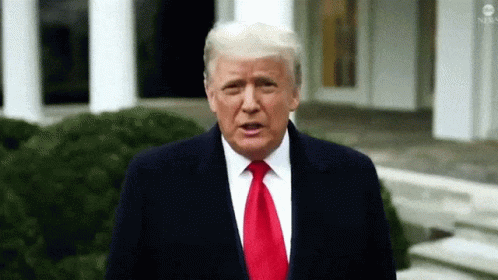 Donald Trump We Love You GIF