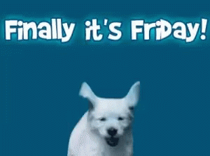 We Made It To Friday Jumping Dog GIF