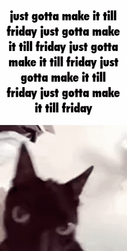 We Made It To Friday Shivering Cat GIF