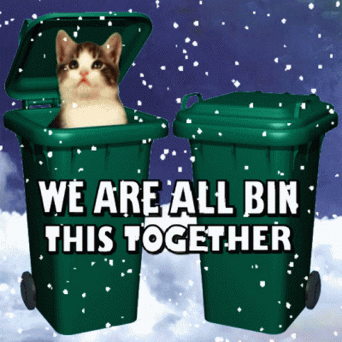 We're All In This Together Cats Bins Meme GIF