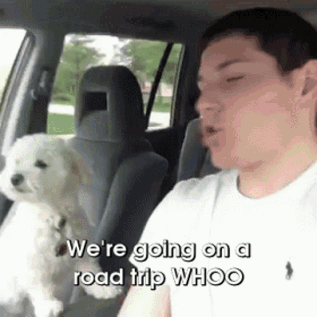 We're Going On Road Trip Whoo GIF