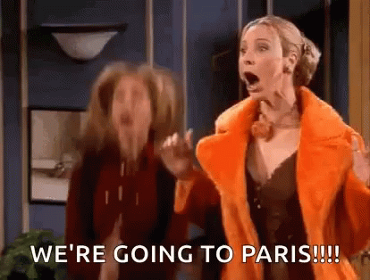 We're Going To Paris GIF