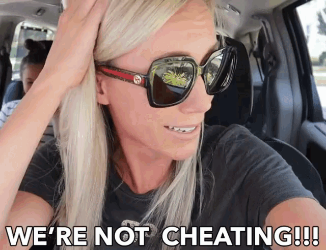 We're Not Cheating GIF