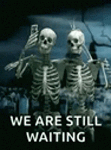 We're Still Waiting Here GIF