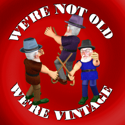 We're Too Old For Coffin Dance GIF