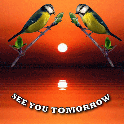 We Will Miss You Love Birds GIF