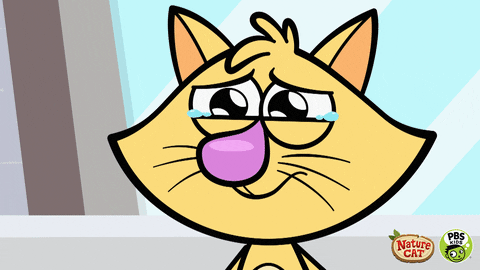 We Will Miss You Sad Cat GIF