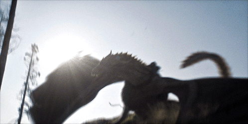 Weak Seasmoke Dragon GIF