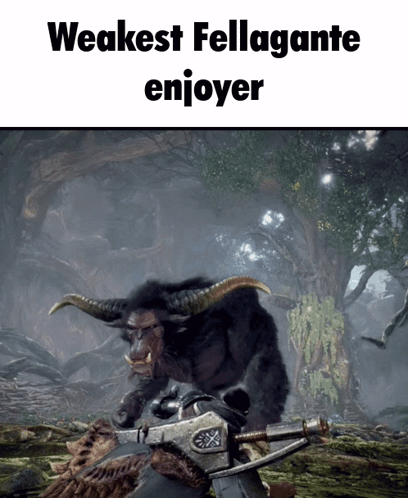 Weakest Fellagante Enjoyer Video Game