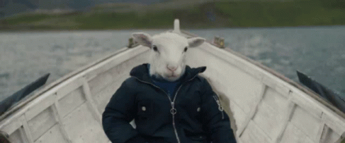 Wearing Jacket White Goat Meme In Boat GIF