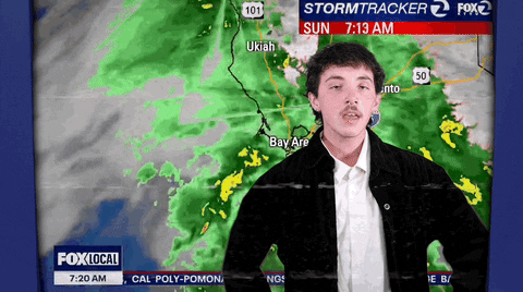 Weatherman Nonchalant Forecast Report GIF