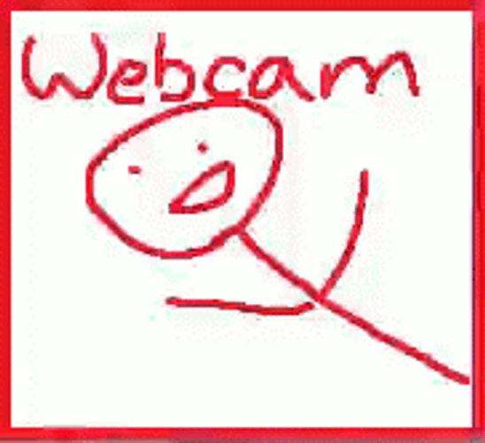 Webcam Man Animation GIF