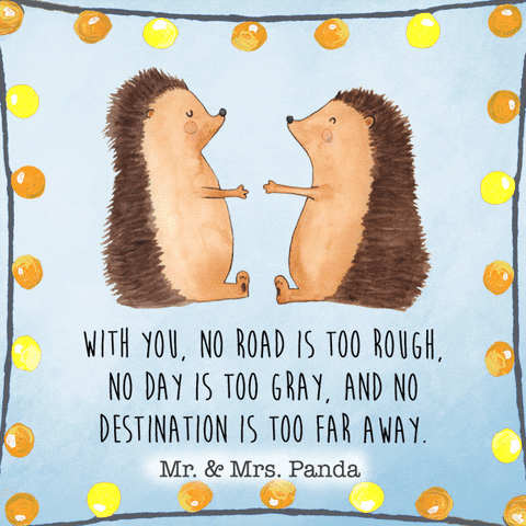 Wedding Anniversary Cute Hedgehog GIF